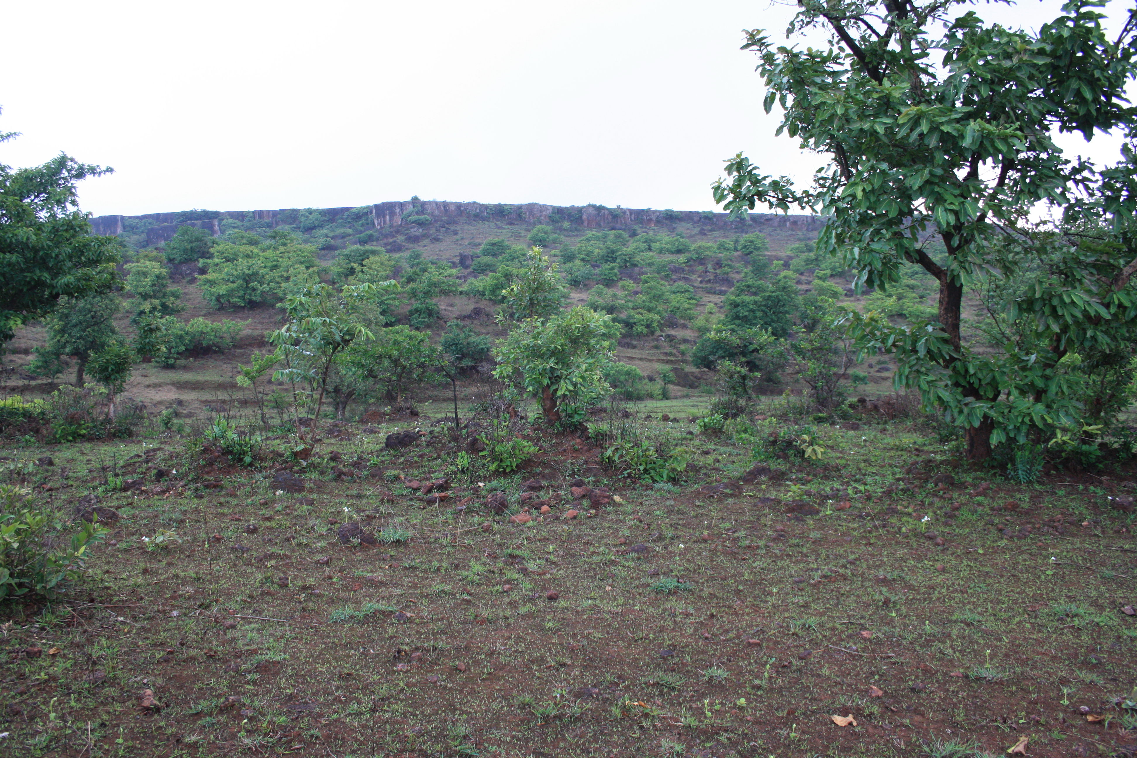 Before Image 1